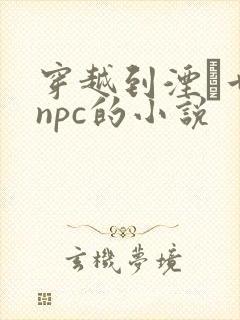 穿越到湮婸世界npc的小说