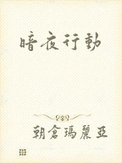 暗夜行动