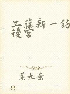 工藤新一的日本后宫封面