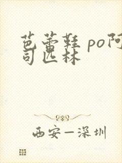 芭蕾鞋 po阿司匹林