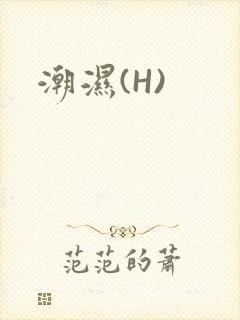 潮湿(H)