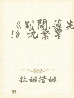 《别闹,薄先生!》沈繁星