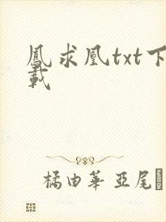 凤求凰txt下载