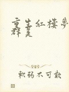 重生红楼梦之御群美