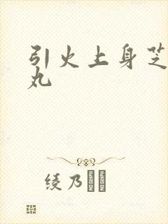 引火上身芝麻糖丸