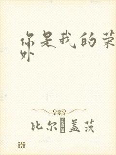 你是我的荣耀番外