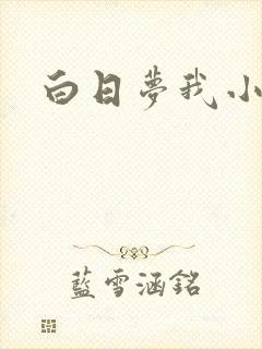 白日梦我小说