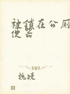 被锁在公厕当坐便器