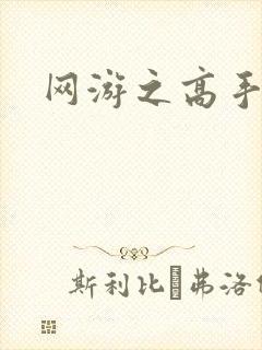 网游之高手寂寞封面