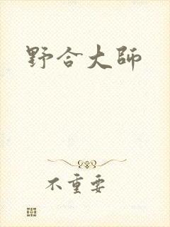 野合大师封面