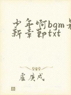 少年啊bgm最新章节txt