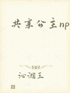 共享公主npc