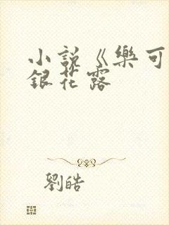 小说《乐可》金银花露封面