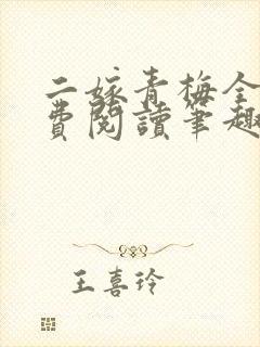 二嫁青梅全文免费阅读笔趣阁封面