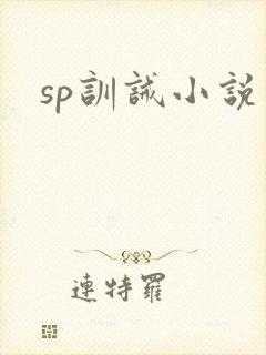 sp训诫小说
