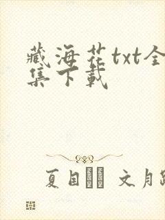 藏海花txt全集下载