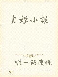 月姬小说