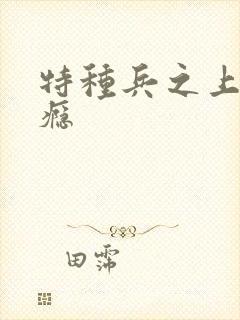 特种兵之上你成瘾封面