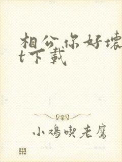 相公你好坏txt下载