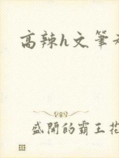 高辣h文笔趣阁