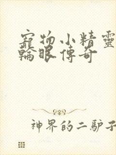 宠物小精灵之写轮眼传奇