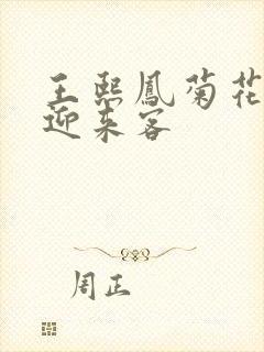 王熙凤菊花门初迎来客