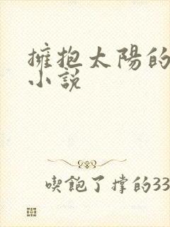 拥抱太阳的月亮小说