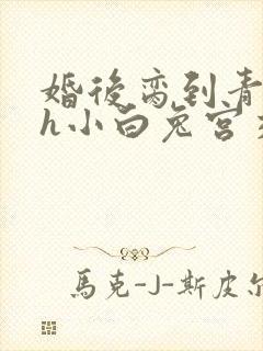 婚后脔到青梅哭h小白兔宫交h