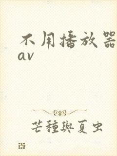 不用播放器的gav封面