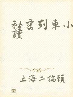 秘密列车小说阅读