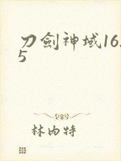 刀剑神域16.5