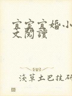 宜室宜婚小说全文阅读