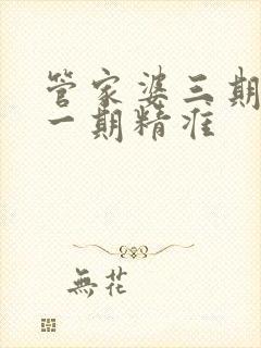 管家婆三期必开一期精准