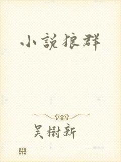 小说狼群
