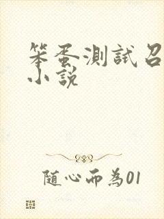 笨蛋测试召唤兽小说