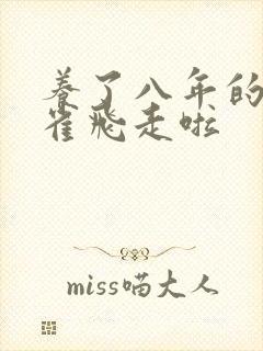 养了八年的金丝雀飞走啦