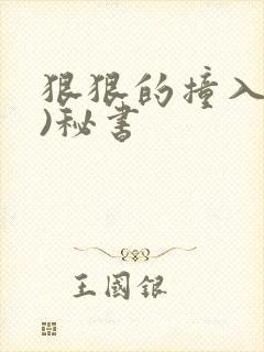 狠狠的撞入(h)秘书