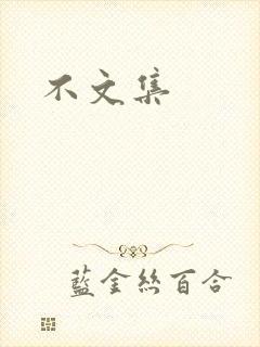 不文集封面