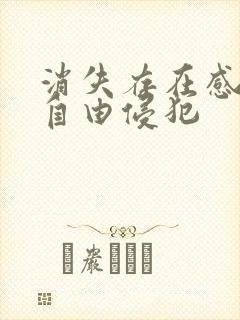 消失存在感消失自由侵犯封面