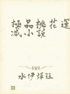 极品桃花运未删减小说封面