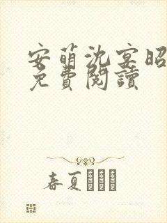 安萌沈宴昭小说免费阅读