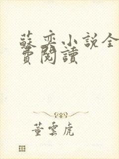 苏奕小说全文免费阅读