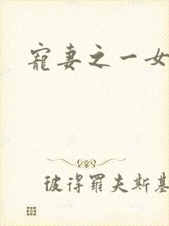 宠妻之一女二夫封面