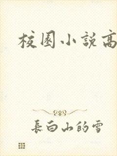 校园小说高h封面