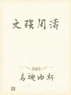 文强周涛