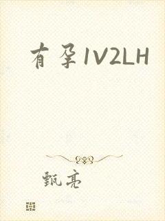 有孕1V2LH
