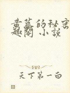 黄蓉的秘密 笔趣阁 小说