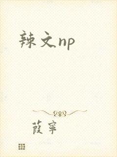 辣文np