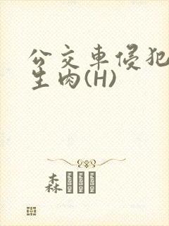 公交车侵犯小男生肉(H)