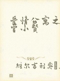 爱情公寓之极品曾小贤